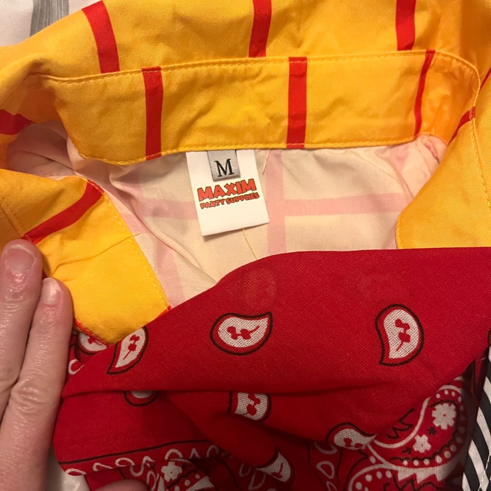 Woody Toy Story costume
